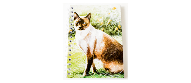 Notebook: Siamese Cat