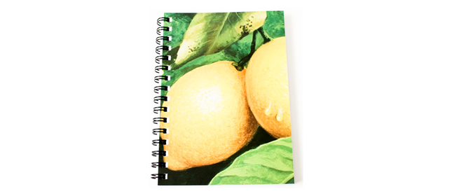 Notebook: Lemons