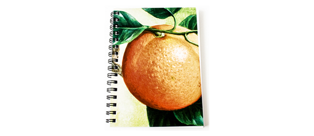 Notebook: Orange