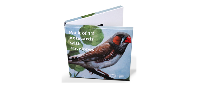 Notecards: Assorted Pets