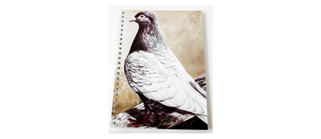 Notebook: Guinea Pigeon